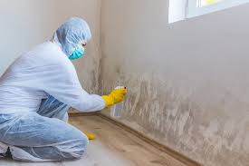 Best Industrial Mold Remediation  in Pacifi, CA