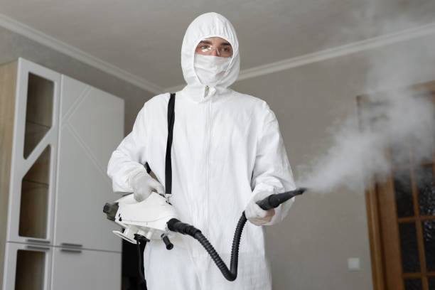 Best Biohazard Mold Removal  in Pacifi, CA